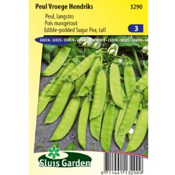 Ervilha trepadeira 'Vroege Hendriks mangetout