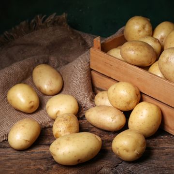 Batata Linzer Delikatess