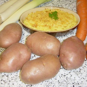 Batata Desiree
