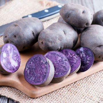 Batata Biológicas Ulysse