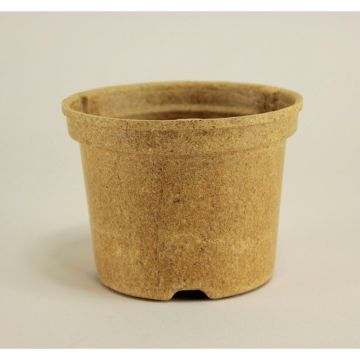 Vaso redondo biocompostável Napac Ø10,5 cm - vendido por 5