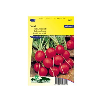 Rabanete vermelho redondo Saxa 2