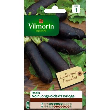 Rabanete Preto comprido Poids d'Horloge Vilmorin