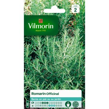 Alecrim Vilmorin - Rosmarinus officinalis