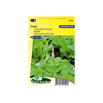 Rúcula Pronto