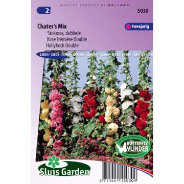 Malvarisco Chater's Double em sementes