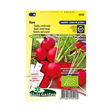 Fita 5m de Rabanete vermelho redondo Raxe Bio