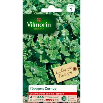 Espinafre-da-nova-zelândia Vilmorin - Tetragonia tetragonioides