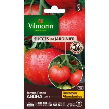 Tomate Agora F1 Vilmorin