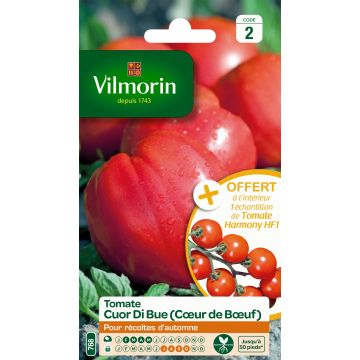 Tomate Coração de Boi Vilmorin