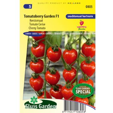 Tomate-cereja Gardenberry F1