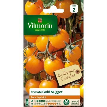 Tomate Gold Nugget Vilmorin
