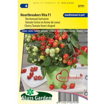 Tomate-cereja Heartbreaker F1