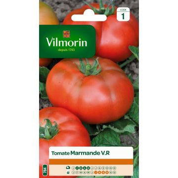 Tomate Marmande Vilmorin