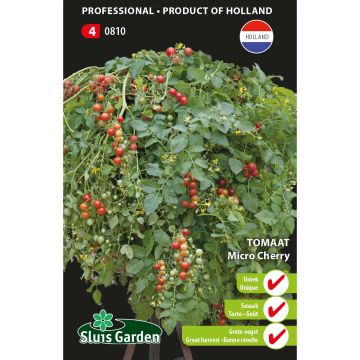 Tomate-cereja Micro Cherry