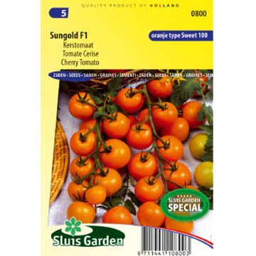 Tomate-cereja Sungold F1