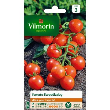 Tomate-cereja Sweetbaby Vilmorin
