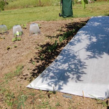 Véu de crescimento 17 g/m²