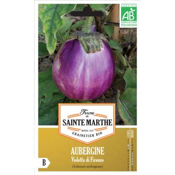 Beringela Violetta Di Firenze - Ferme de Sainte Marthe Bio