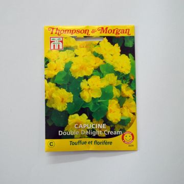 Capuchinha Double Delight Cream em sementes