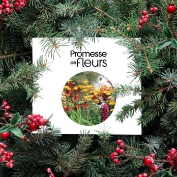 Cartão presente Cartão presente