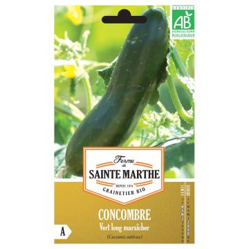 Pepino Verde comprido Maraîcher - Ferme de Sainte Marthe Bio