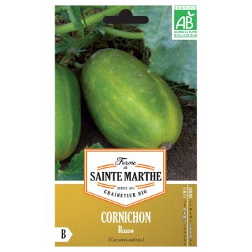 Pepino Russo - Sainte Marthe Fazenda de pepinos Sikkim sementes Bio