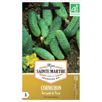Pepino Verde pequeno de Paris - Ferme de Sainte Marthe BIo
