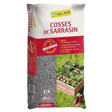 Cascas de trigo-sarraceno Terre & Nature