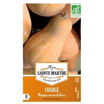 Abóbora Sucrine du Berry - Ferme de Sainte Marthe Bio