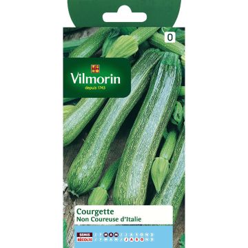 Courgette não trepadeira da Itália Vilmorin