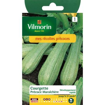 Courgette precoce para hortícola Vilmorin