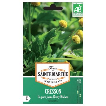 Jambu amarelo Bio - Bredy Mafana - Ferme de Sainte Marthe