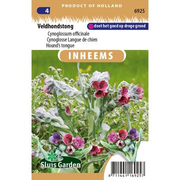 Cynoglossum officinale em sementes