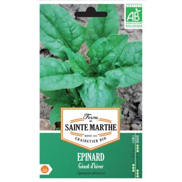 Espinafre Gigante de Inverno - Ferme de Sainte Marthe Bio