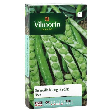 Fava Sevilha de vagem comprida Vilmorin