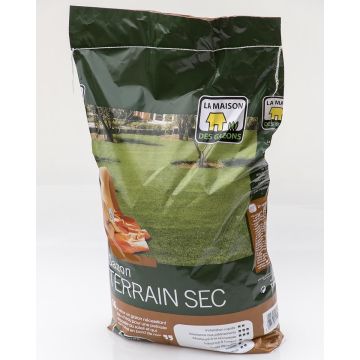 Relvado para terrenos secos