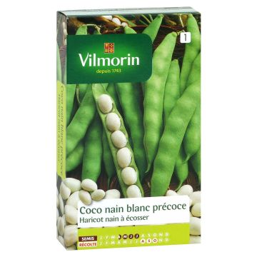 Feijão-de-grão Coco Branco Precoce Vilmorin