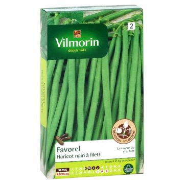 Feijão-verde anão Favorel Vilmorin