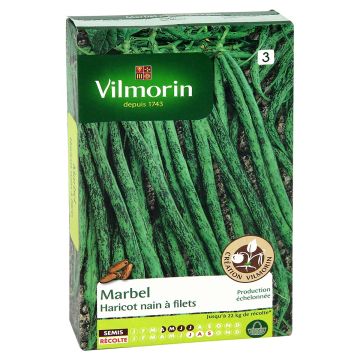 Feijão-verde anão Marbel Vilmorin com fios