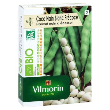 Feijão-anão Coco Branco Precoce Bio Vilmorin