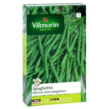 Feijão-anão Esparguete (mangetout Spaghetto) Vilmorin