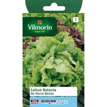 Alface batávia De Pierre Bénite Vilmorin