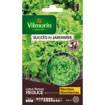 Alface batávia Reglice F1 Vilmorin