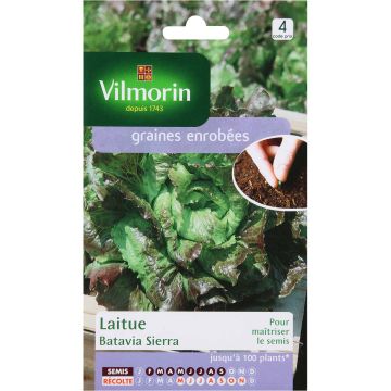 Alface batavia Sierra (Sementes Revestidas) Vilmorin