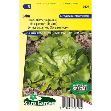 Alface-repolhuda John (de estufa) Sementes
