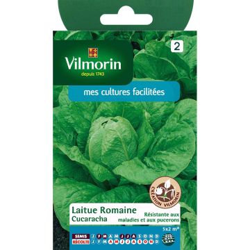 Alface-romana Cucaracha Vilmorin
