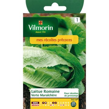 Alface romana verde hortícola Vilmorin