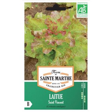 Alface para cortar Saint Vincent - Ferme de Sainte Marthe Bio
