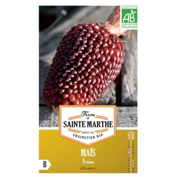 Milho Morango Pipocas / Milho Fraise Pop Corn - Ferme de Sainte Marthe Bio